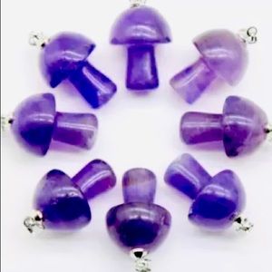 Charms ( purple mushroom)
